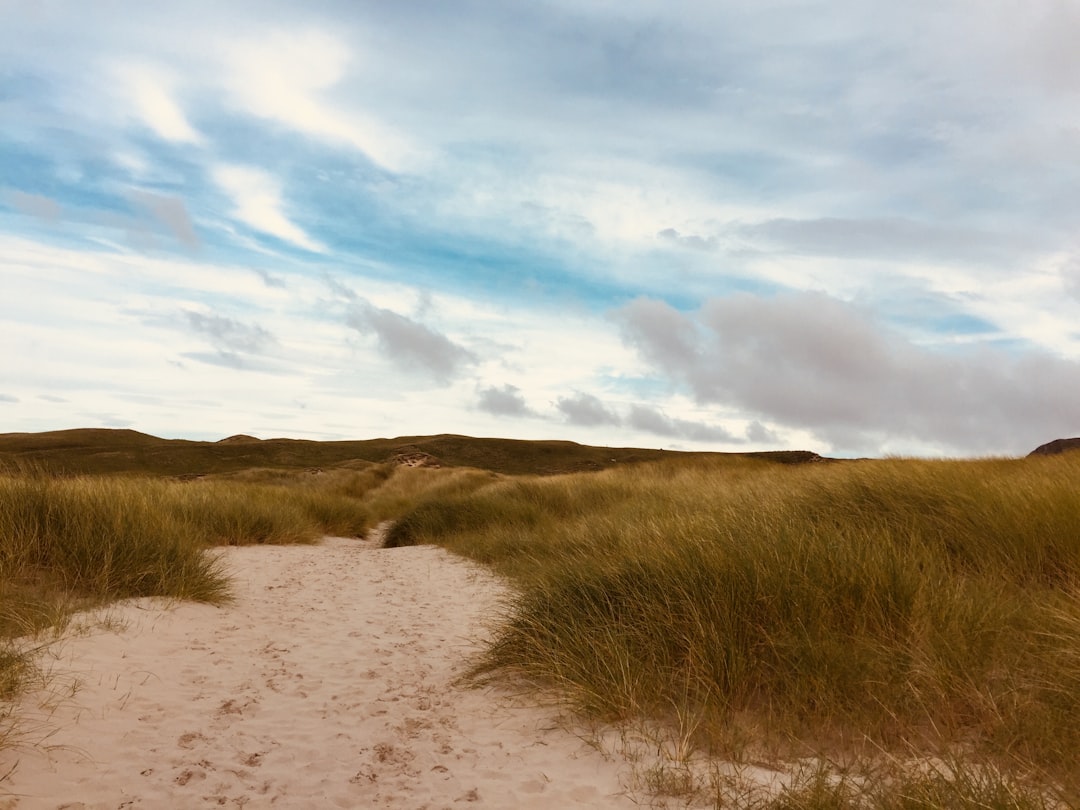 Machair grass and low dunes on the Islay coast, cirrus cloud above. The kind of landscape that sits inland of the south-coast distilleries — where the peat gets cut and the barley gets germinated before it ever meets a still.