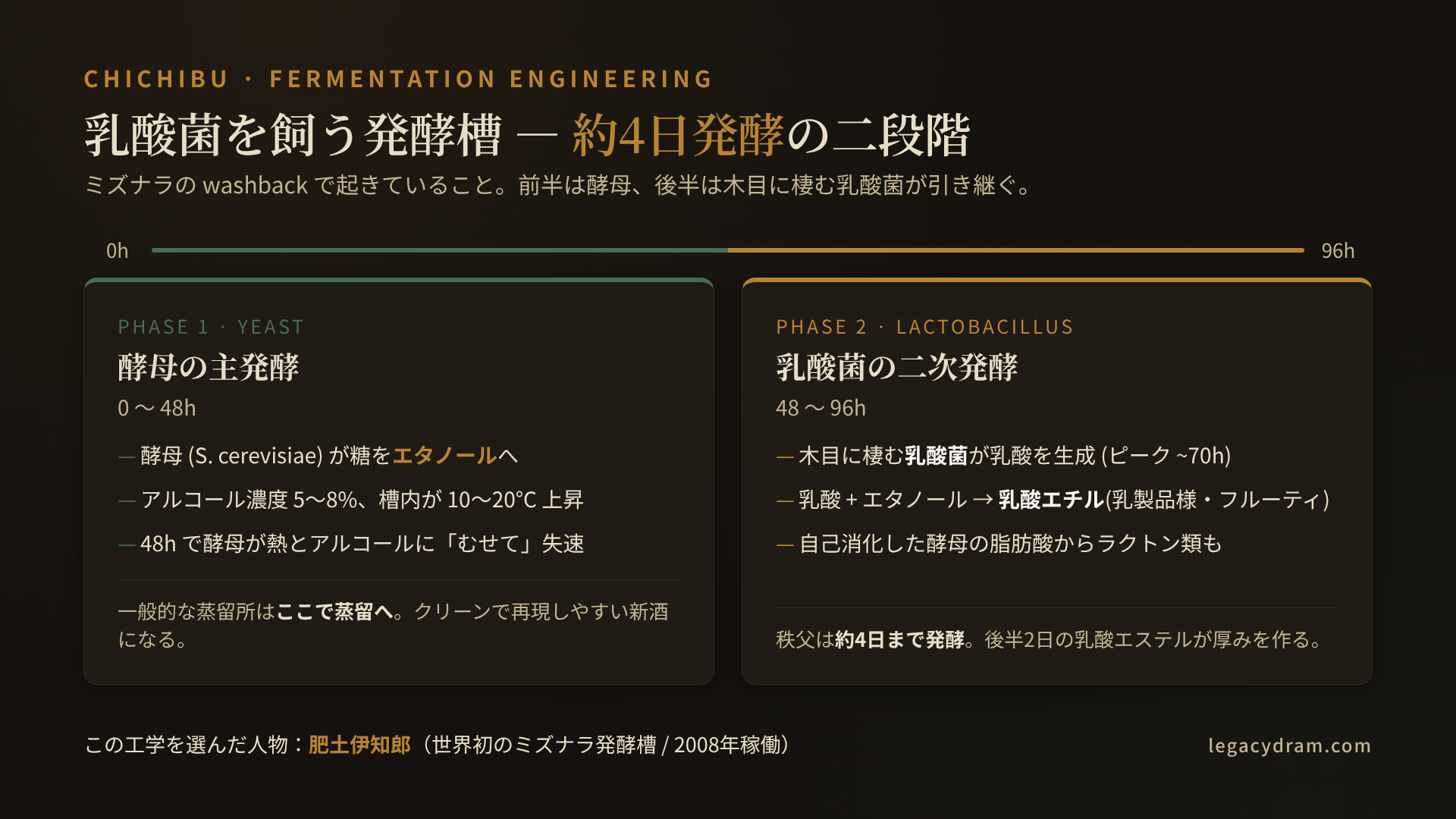 秩父の発酵プロファイル図解。横軸が発酵時間 (0〜96時間)、縦軸に酵母活性と乳酸菌個体数の二本の曲線。0〜48時間: 酵母 (Saccharomyces cerevisiae) が糖をエタノールに変える主発酵。エタノール濃度が5〜8%に達し温度が上昇、48時間で酵母が失速。48〜96時間: 乳酸菌 (Lactobacillus) が30〜40時間から増殖し70時間前後でピーク。弱った酵母の自己消化で出た脂肪酸・アミノ酸を栄養に乳酸を生成、乳酸→乳酸エチル等のエステルが増加。一般的な蒸留所は48時間で蒸留に回すが、秩父は約4日 (72〜96時間) 発酵させ二次発酵の領域まで踏み込む。発酵槽はミズナラ材で殺菌不能ゆえ乳酸菌が木目に定着。判断者: 肥土伊知郎 (2008年稼働)。