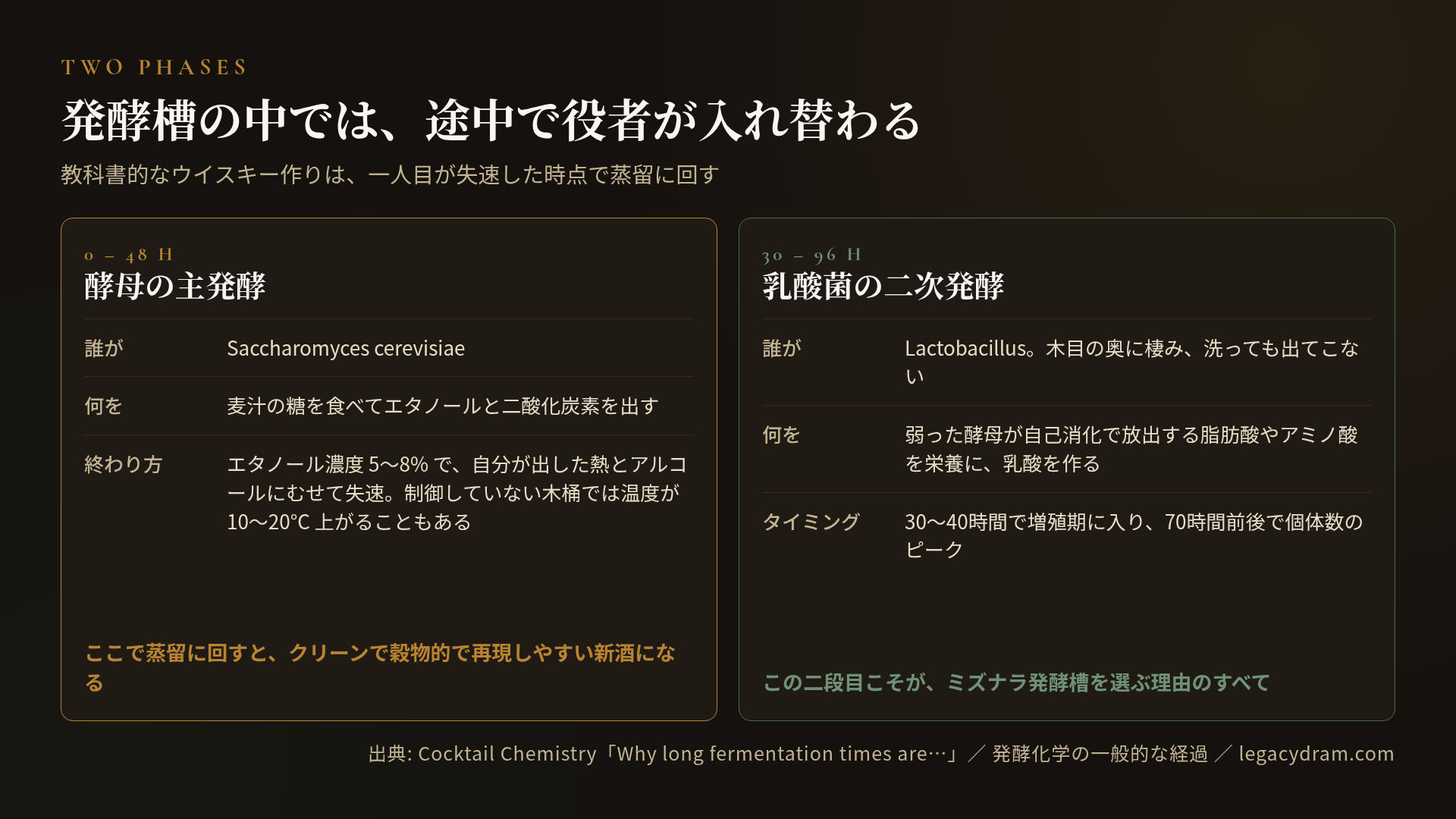 発酵の二段階の対比図。0〜48時間は酵母 Saccharomyces cerevisiae の主発酵で、麦汁の糖を食べてエタノールと二酸化炭素を出す。エタノール濃度5〜8%で自分が出した熱とアルコールにむせて失速し、制御していない木桶では温度が10〜20°C上がることもある。ここで蒸留に回すと、クリーンで穀物的で再現しやすい新酒になる。30〜96時間は乳酸菌 Lactobacillus の二次発酵で、木目の奥に棲み洗っても出てこない。弱った酵母が自己消化で放出する脂肪酸やアミノ酸を栄養に乳酸を作る。30〜40時間で増殖期に入り70時間前後で個体数のピーク。この二段目こそがミズナラ発酵槽を選ぶ理由のすべて。