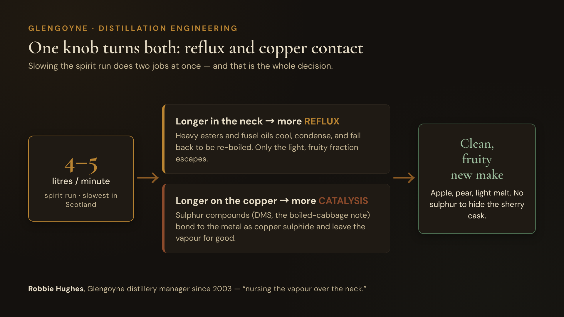 A causal flow diagram on a dark cask-black background. On the left, a single labelled input box reads "Spirit run speed: ~4–5 L/min (slowest in Scotland)". An arrow splits into two parallel paths. The upper path reads "Longer vapour residence in the neck → more REFLUX → heavy esters and fusel oils condense and fall back". The lower path reads "Longer vapour contact with copper → more COPPER CATALYSIS → sulphur compounds bond as copper sulphide and leave". Both paths converge on a right-hand output box: "Clean, fruity, low-sulphur new make spirit (apple, pear, light malt)". A small caption at the bottom reads: "One knob turns both. Robbie Hughes, Glengoyne, distillery manager since 2003." The palette uses amber for arrows, sherry-brown for the boxes, forest-green for the output box.