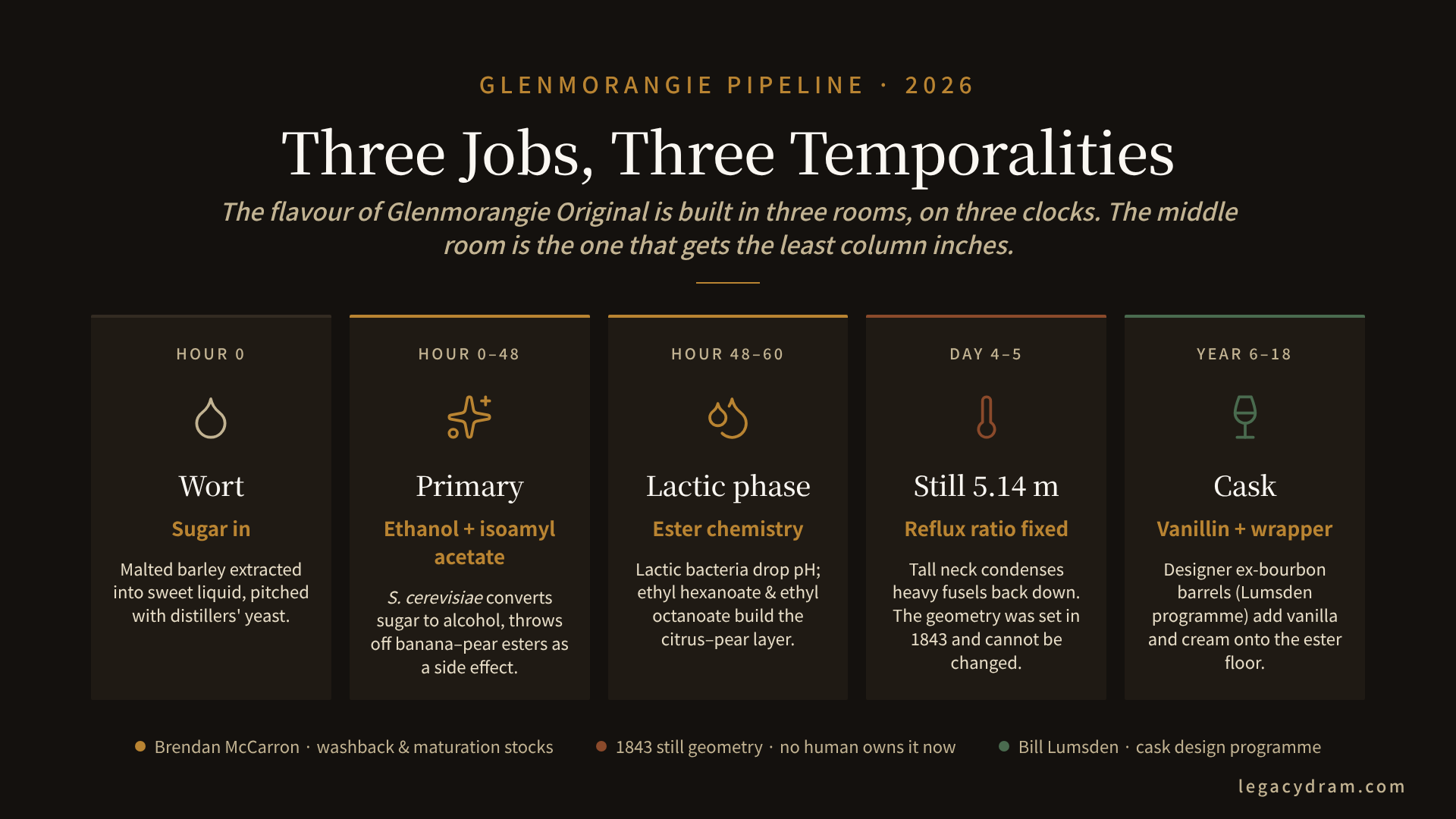 A schematic of a Glenmorangie washback over time. Hour 0: yeast pitched into wort, sugar concentration high. Hour 24: ethanol rising sharply, sugar dropping, CO₂ off-gassing peak. Hour 48: alcohol production nearly complete, lactic bacteria activity rising as pH drops. Hour 52–60: secondary metabolism, ester formation, with small icons of pear, apple and orange peel labelled with ethyl hexanoate, isoamyl acetate, and ethyl octanoate. A figure on the right notes that Brendan McCarron's stewardship covers the entire timeline; Bill Lumsden's name appears under a separate cask icon downstream.
