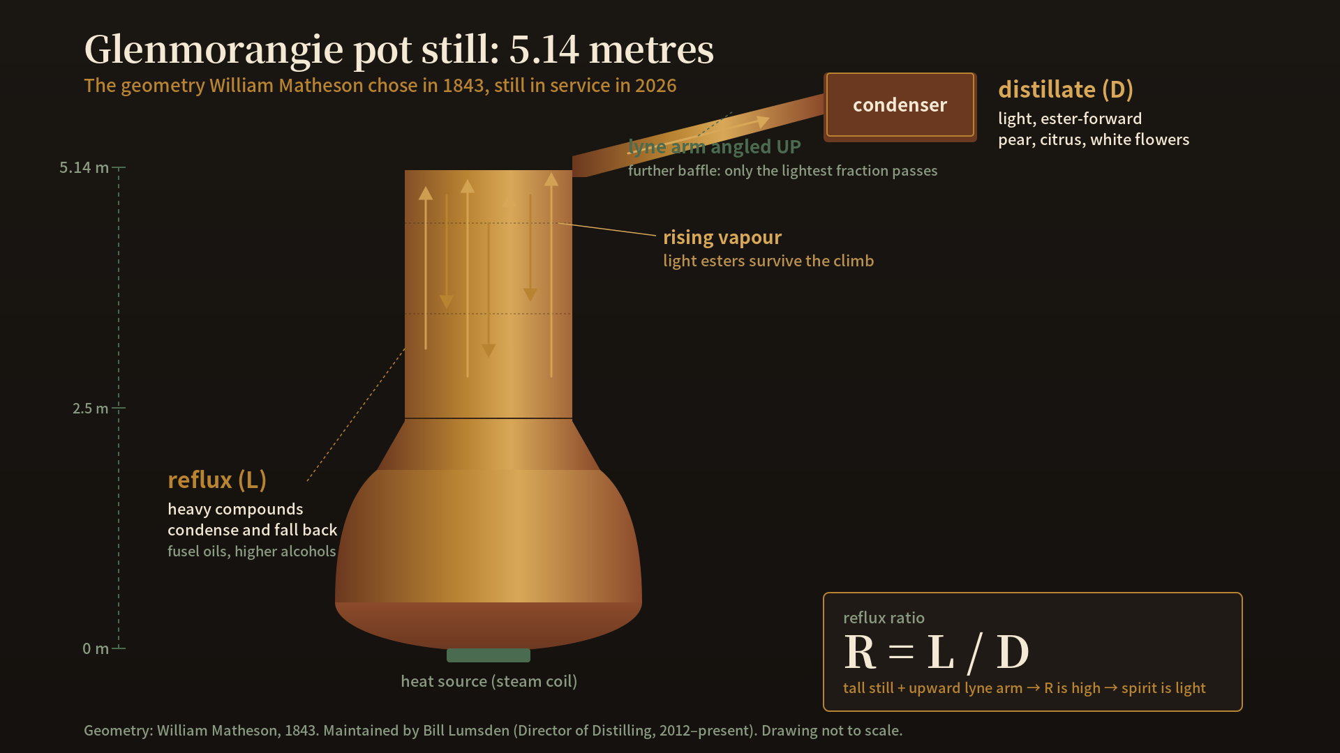 A cross-section diagram of a Glenmorangie pot still: 5.14m tall neck with an upward-angled lyne arm, with arrows showing heavy compounds condensing on the way up the neck and falling back down (reflux), while only the lighter volatiles continue to the condenser. A small caption notes the 1843 origin of the geometry.