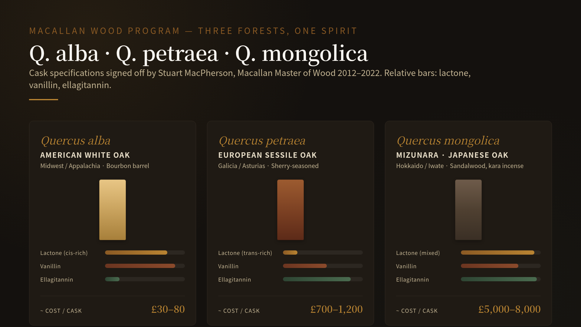 A horizontal three-panel chart comparing the three oak species used in the Macallan wood program. Each panel shows a vertical stave cross-section in a different wood tone: pale gold for Quercus alba, deeper red-brown for Quercus petraea, and a slightly grey-tinted dark brown for Quercus mongolica (Mizunara). Beside each stave, a small bar group shows three bars: whisky lactone total (relative units), vanillin yield (relative units), and ellagitannin (relative units). Q. alba has tall lactone, tall vanillin, short ellagitannin. Q. petraea has short lactone, medium vanillin, tall ellagitannin. Q. mongolica has the tallest lactone of the three, tall vanillin, very tall ellagitannin. A caption beneath the panels reads "wood specifications signed off by Stuart MacPherson, Macallan Master of Wood 2012–2022". The palette is cask black background with amber, sherry brown, and forest green accents.